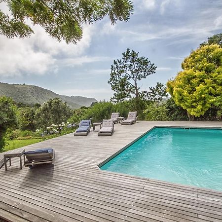 Piesang Valley Lodge Plettenberg Bay Bagian luar foto